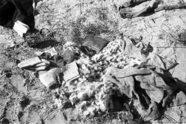 Babi yar essay 08 picture