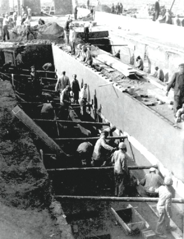 Birkenau-forcedLabor