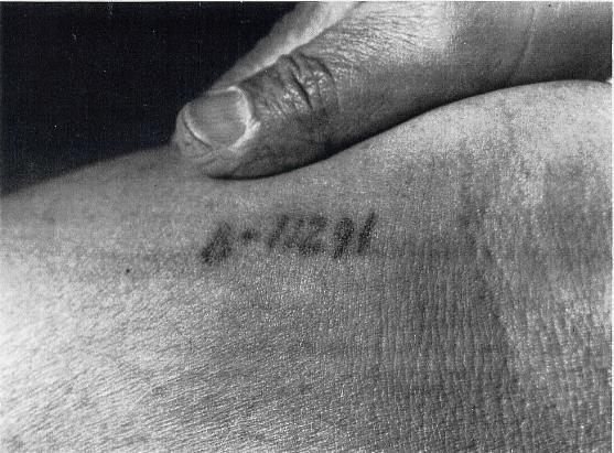 Auschwitz Tattoo Number of Henry Oertelt B11291
